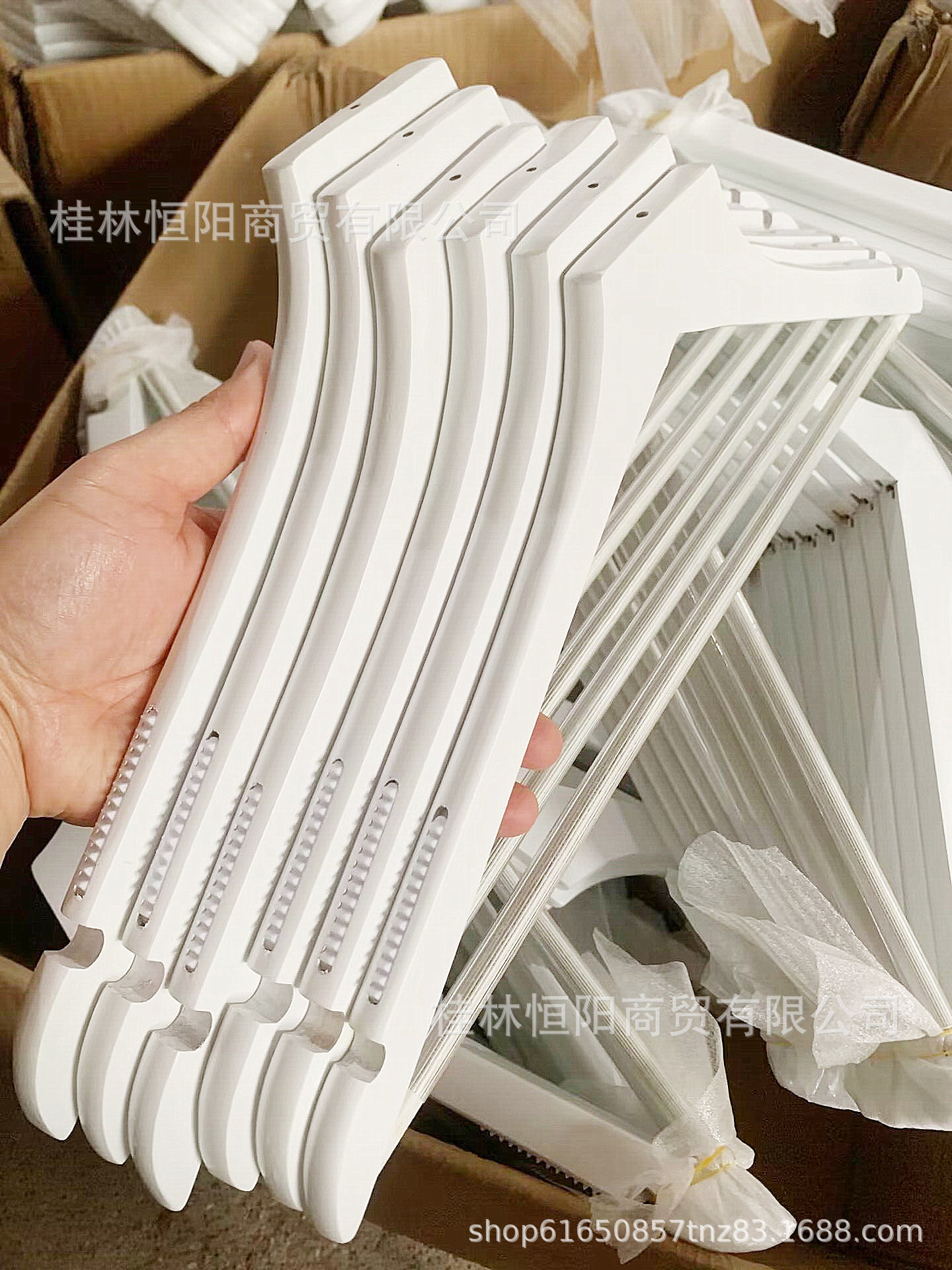 QQ图片20230611125330