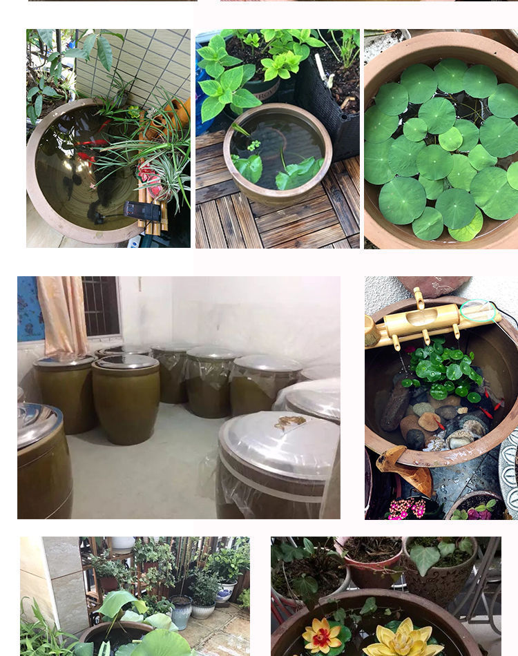 d60b5398-8a46-4279-a090-38948f18c17d.jpe