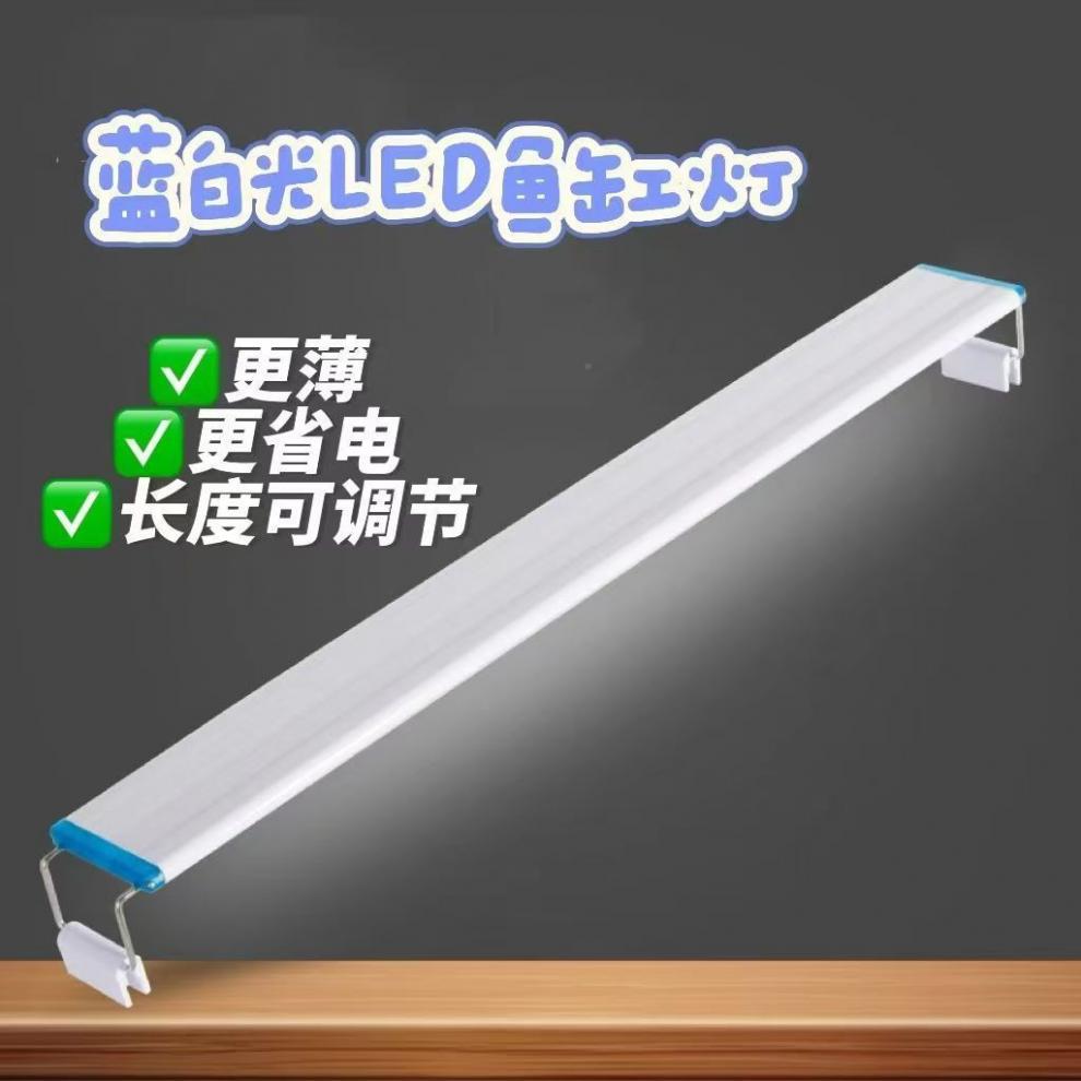 ccc16512-b1e0-48f3-8fb2-a6a3cfca8c81.jpe