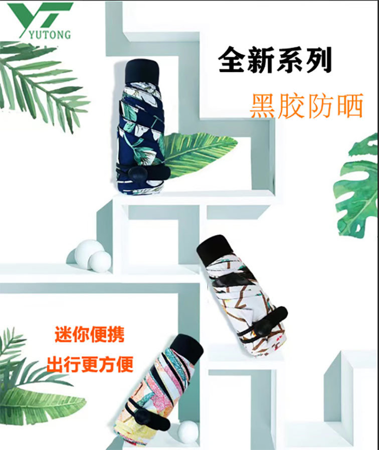 一张主要