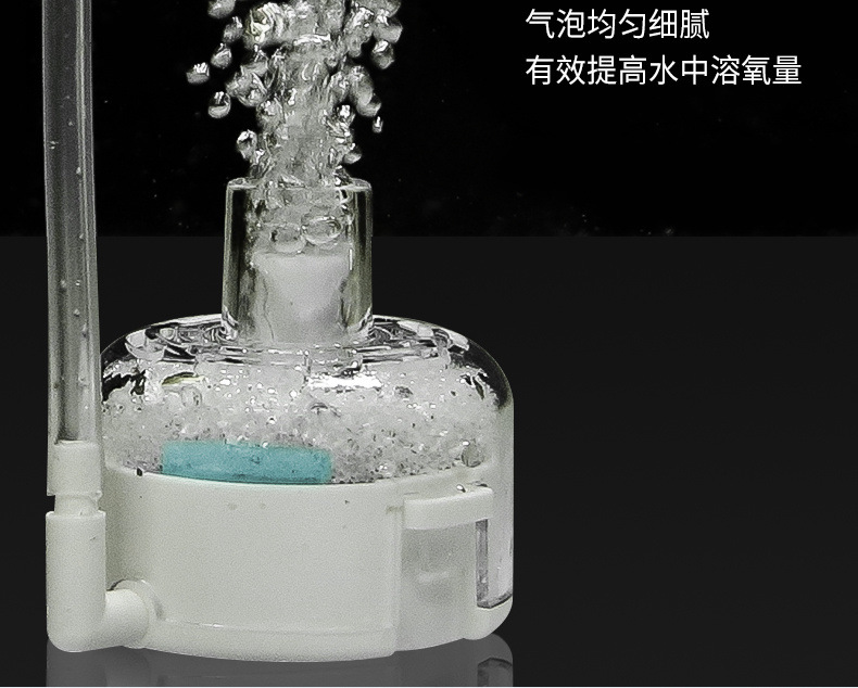 3c169132-3dde-4535-9e34-e9cbb48e62b0.jpe