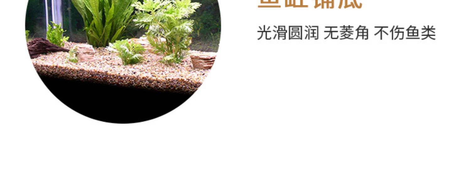图片_05