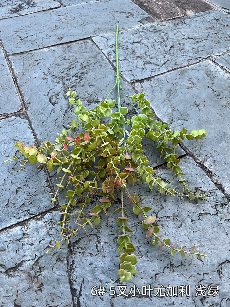 6#-5叉小叶尤加利-浅绿.jpg