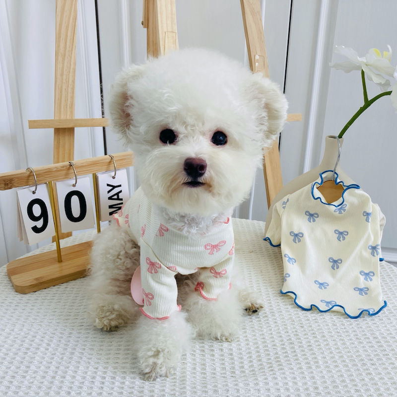 e45c2888-5f74-455f-82e4-3122d28dad34.jpe