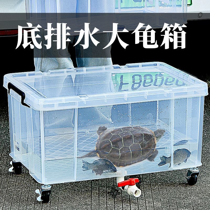 5f20826d-5fc8-48c5-9c55-b78632c72b48.jpe