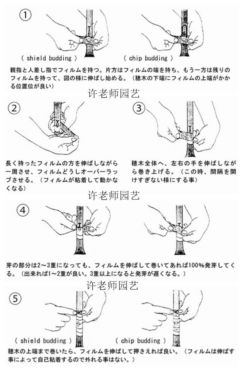 /O1CN01ZWzw3i1rtcFRpyF04_!!2218883235689-0-cib.jpg