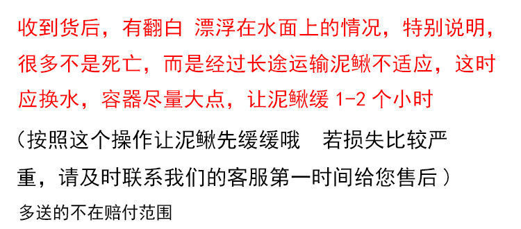 ff2c3909-dee2-4abd-b461-2ea7051a3f46.jpe