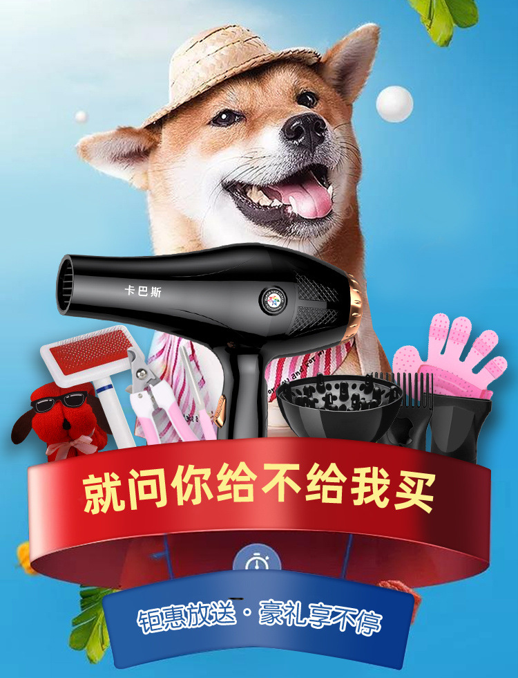 e90895f6-4889-4121-bd7d-09f639710b12.jpe