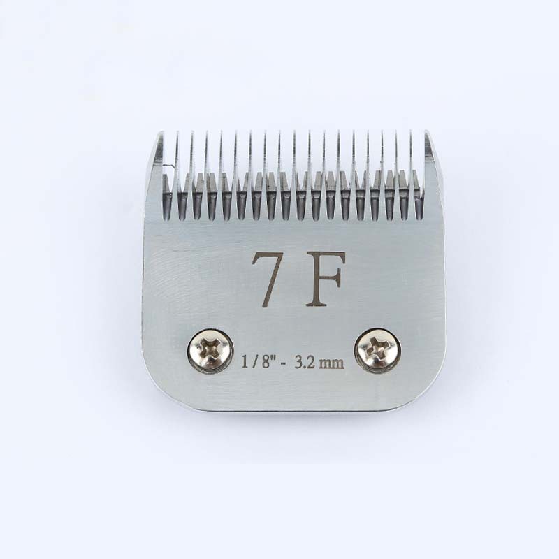 2667993666_1974719260