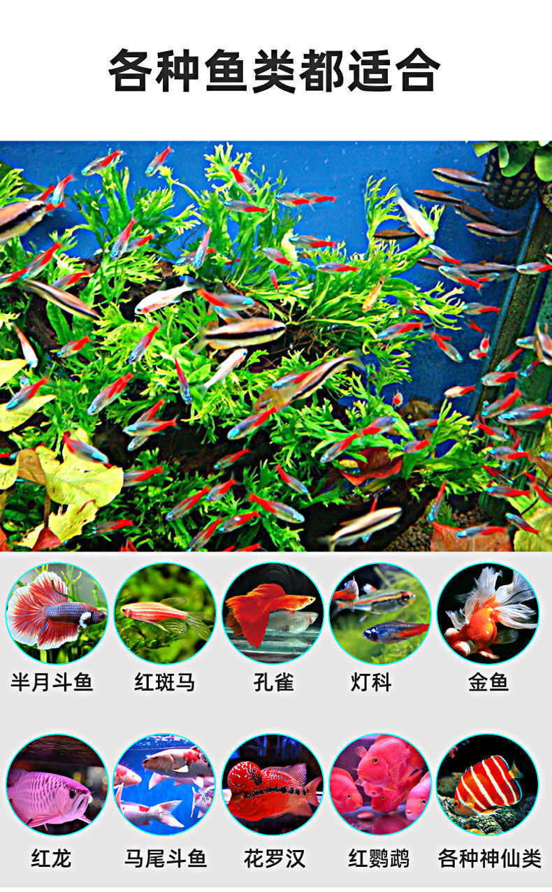 027d9caf-ed5a-4552-a6b8-5fbd64f7abaf.jpe