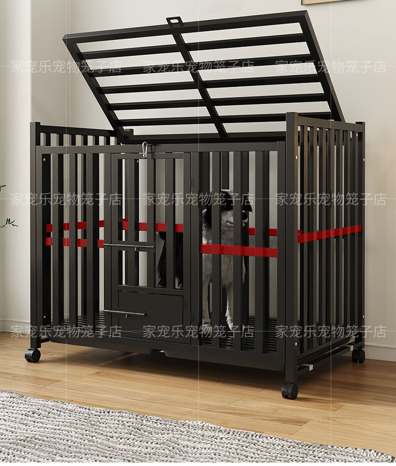 71dc8eda-a5c7-471a-be23-e2d3a730bbb8.jpe