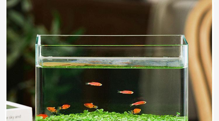 c3520d37-53dc-4323-a729-aafb7a27e265.jpe