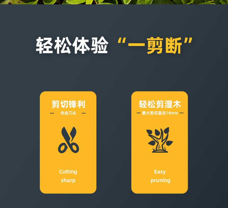 f83751eebe1f3b15.jpg