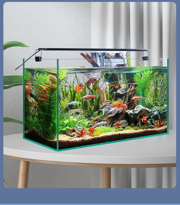 1d82d148-6660-4a63-83fd-3379bb97cc29.jpe