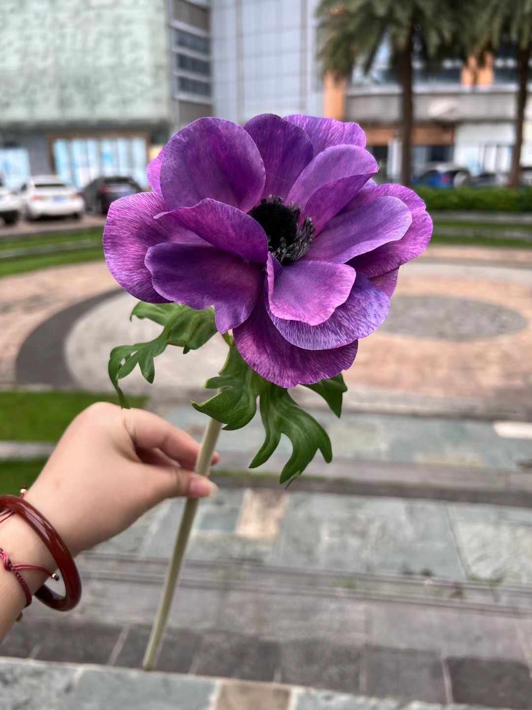 微信图片_20240805150159