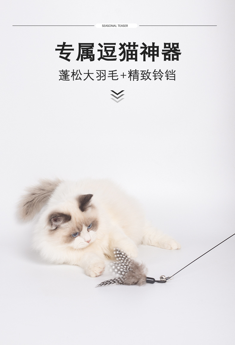 详情_07.jpg