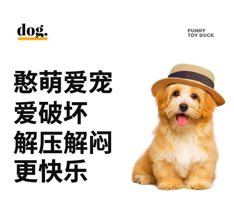 75692e6b-1d66-46c8-8af6-85a9b41460e3.jpe