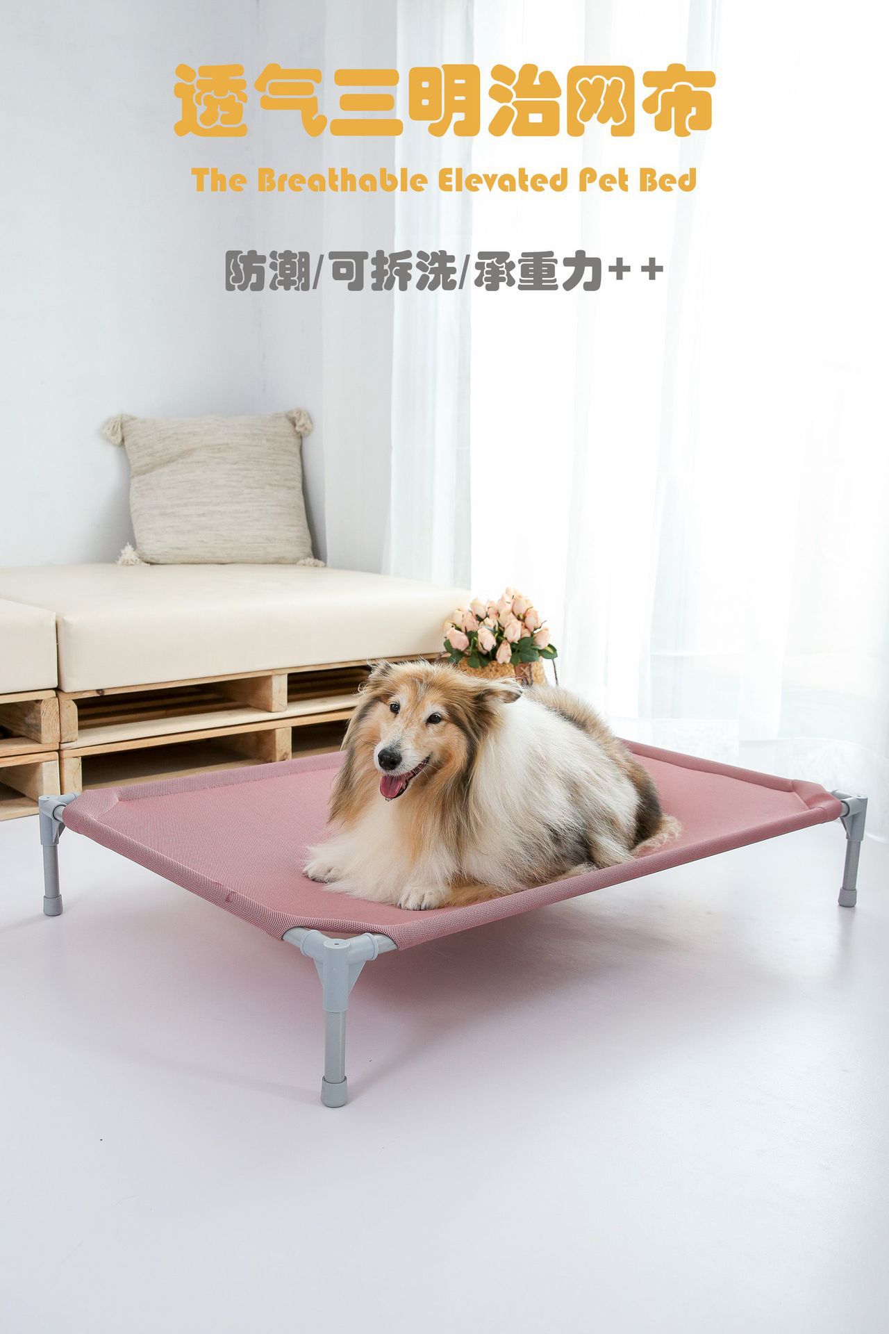 O1CN018PzzvP1Lvq62GRGJn_!!2210