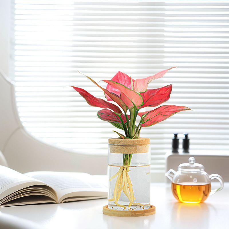 66dae2f8-e77c-43b7-a02f-46d9035ba5aa.jpe