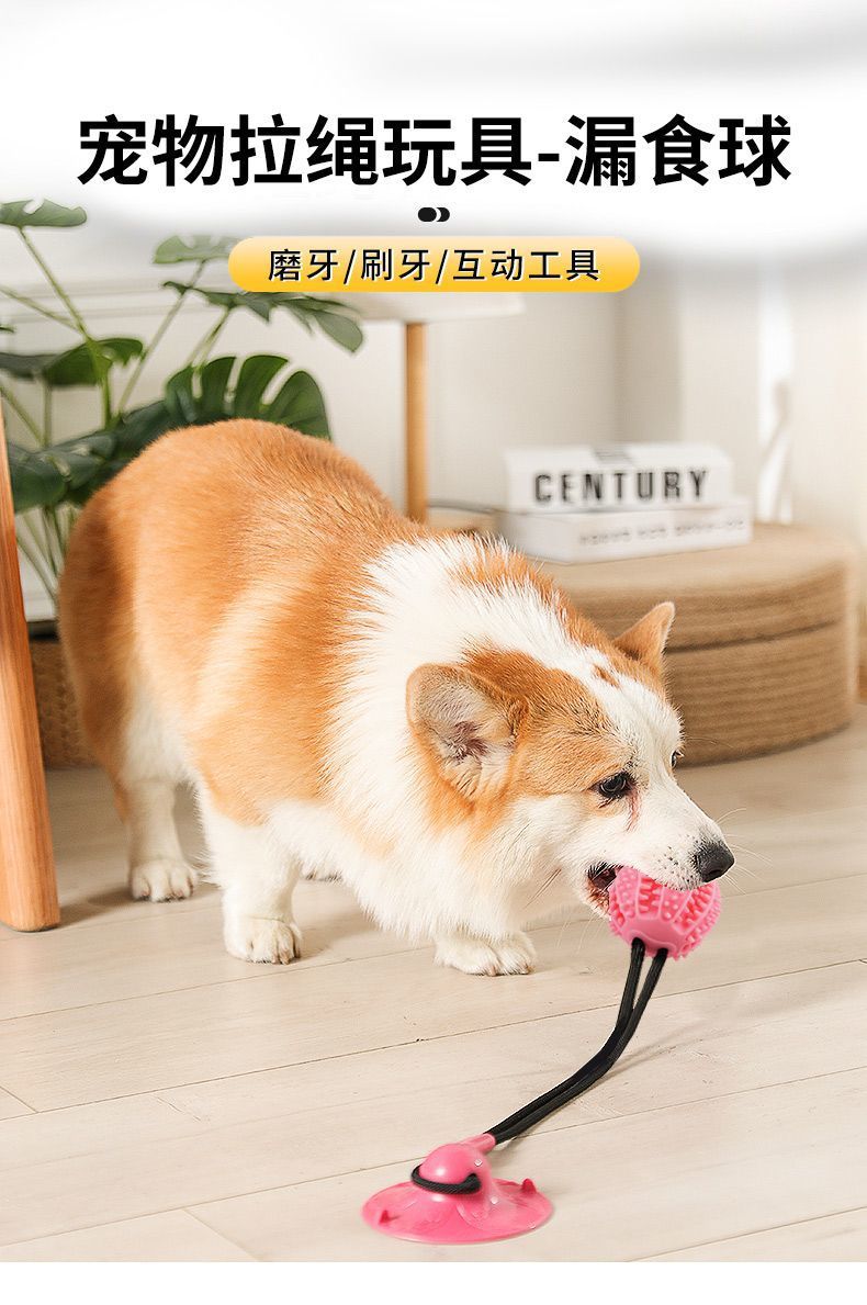 409391cd-e70e-46b5-966c-2306c0ee9039.jpe