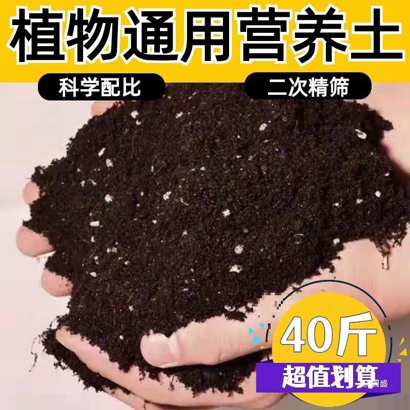 O1CN01ZiGgh71OsaRFg1JnL_!!2218100251761-