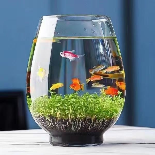 d8205eb2-55cd-4521-93a3-1d66e043d3b9.jpe