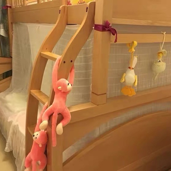 5fa4029d-c362-47e6-a1bd-904d0e1fc5ee.jpe