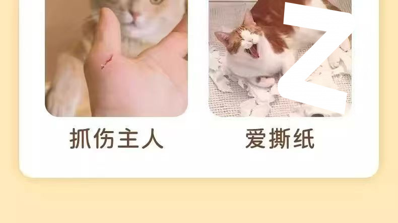 ed06a244-e0ed-4c15-9be1-07a881344bae.jpe