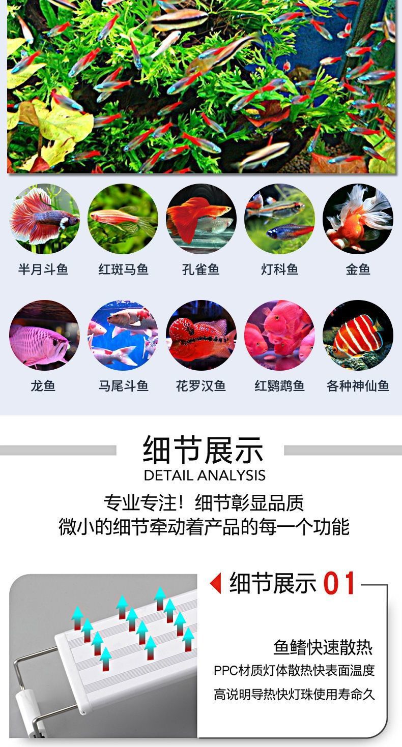 87d43d1e-5372-43ae-932a-9517fd14868c.jpe