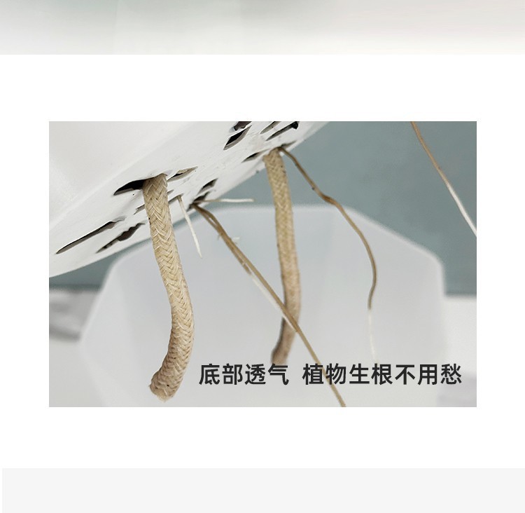 572b29d0-86a5-47af-a6f1-c1e6ed636da6.jpe