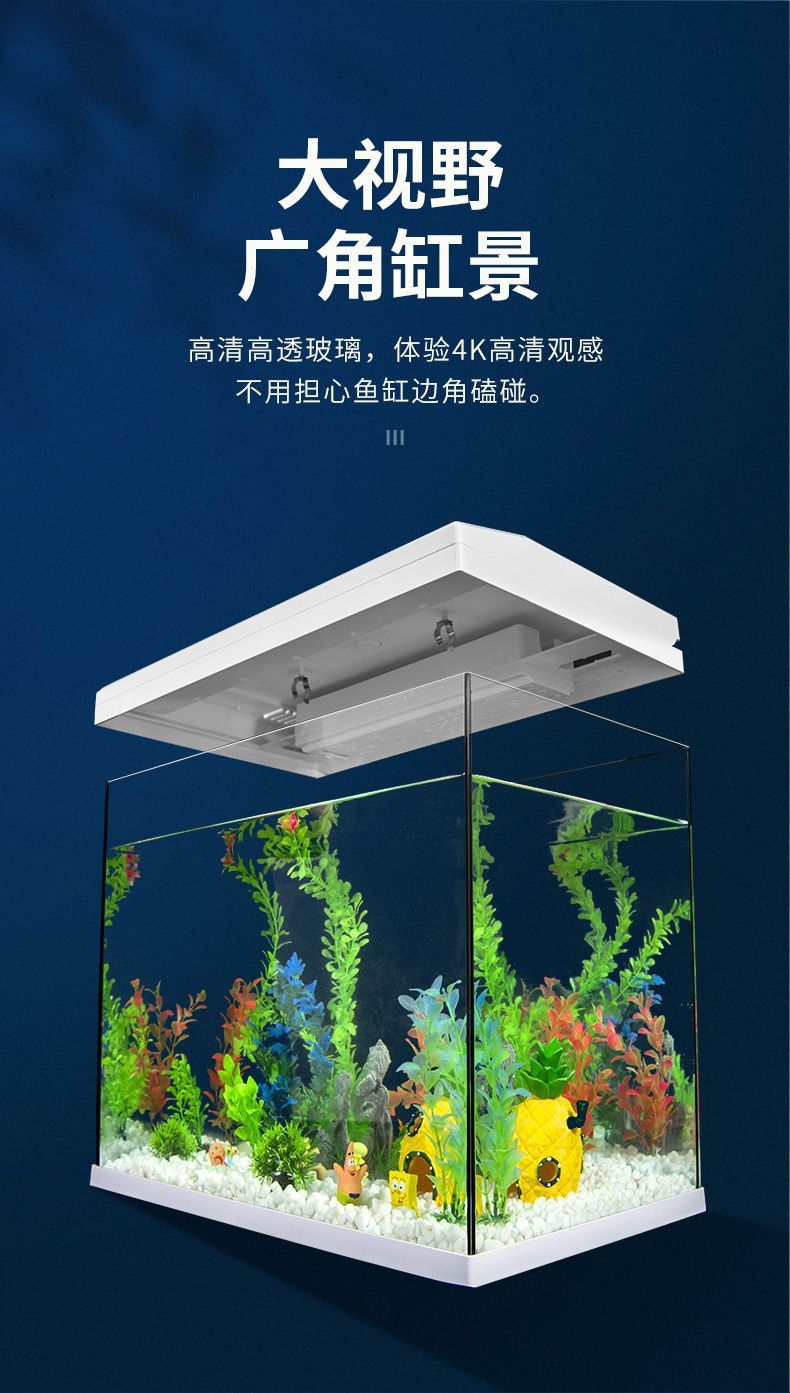 33b80cdd-2ee8-4321-9ad3-6a79b7e142f1.jpe