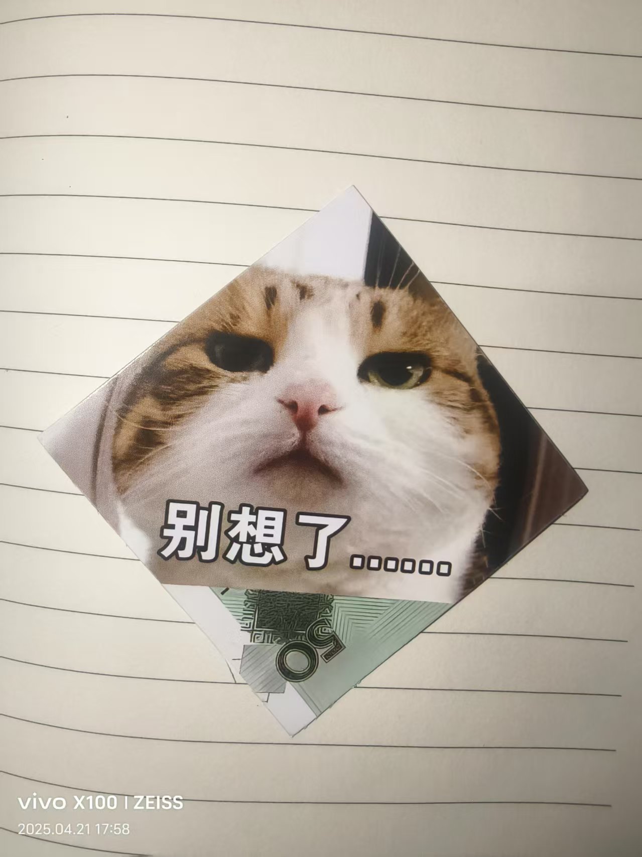 微信图片_202504211800452