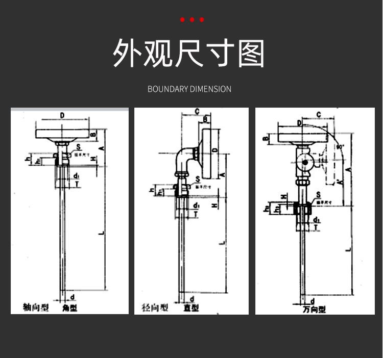 WSS双金属温度计10