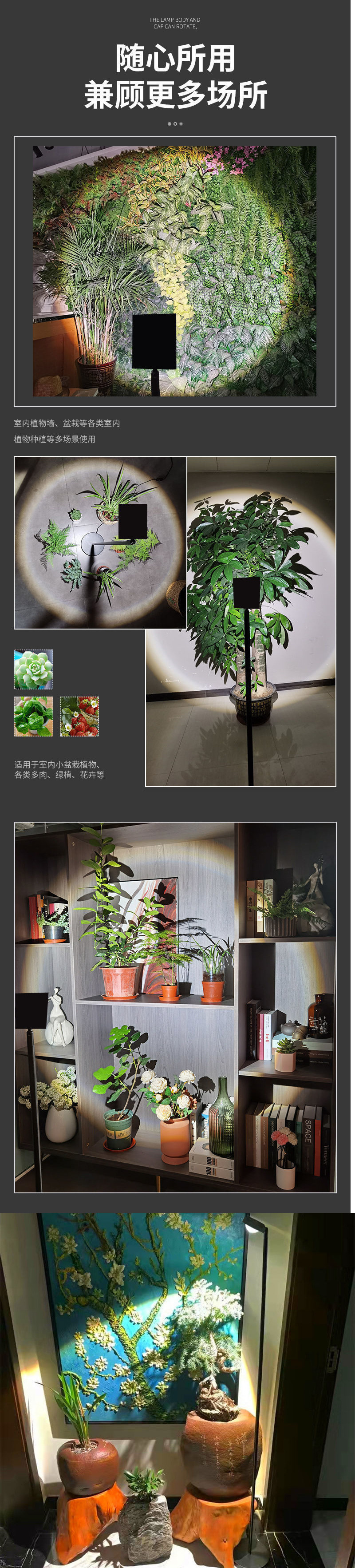 5b88019d-b50e-4c90-883a-925e28320eb0.jpe