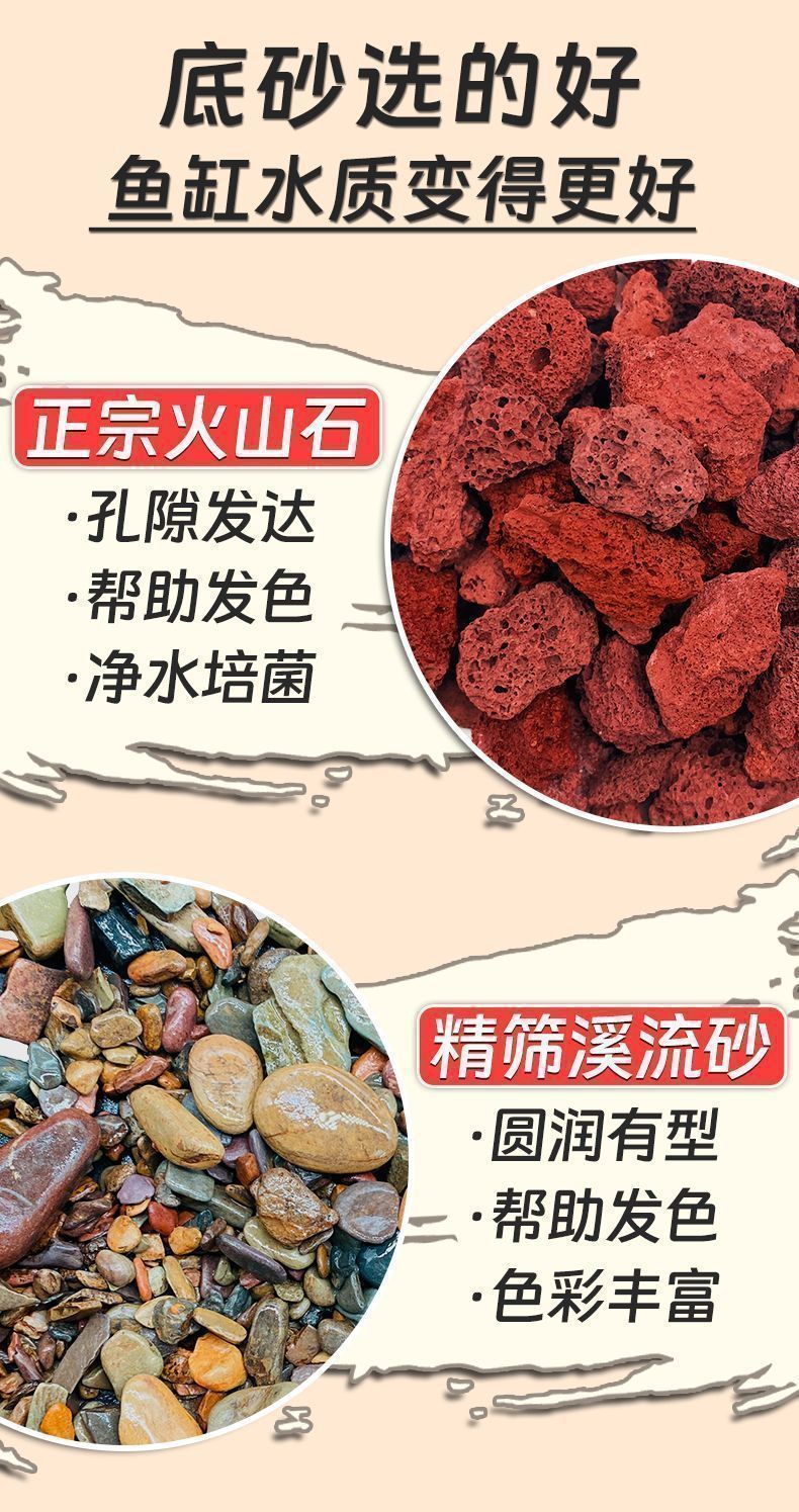 733ea53c-0e51-40cc-ba66-33f672511084.jpe