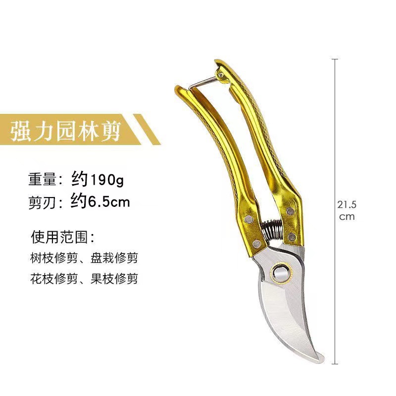 微信图片_20240526200054