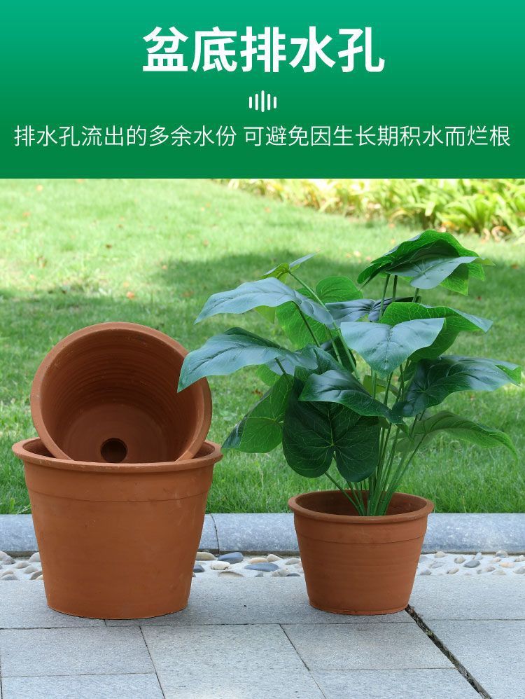 f8fd0885-ef1e-4573-a273-f0944280ef75.jpe