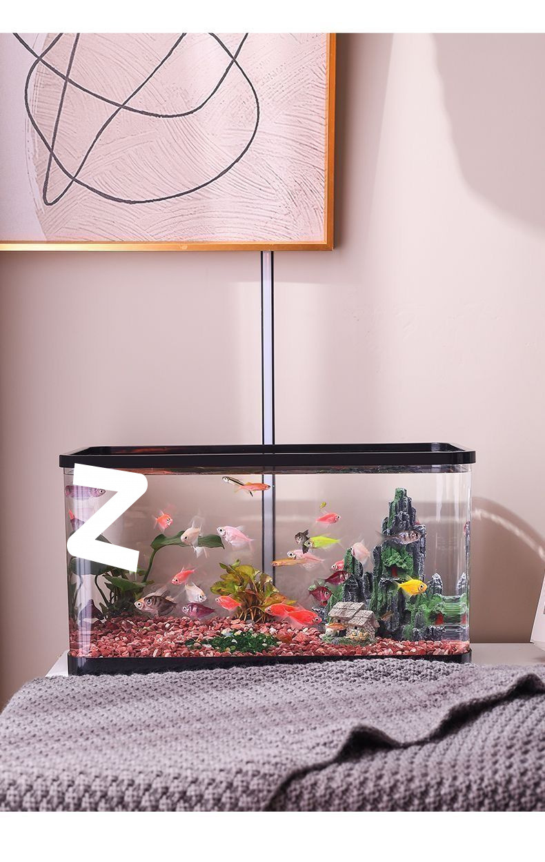 4070fdb1-7b77-4dd8-bf54-0eb70dd15c88.jpe