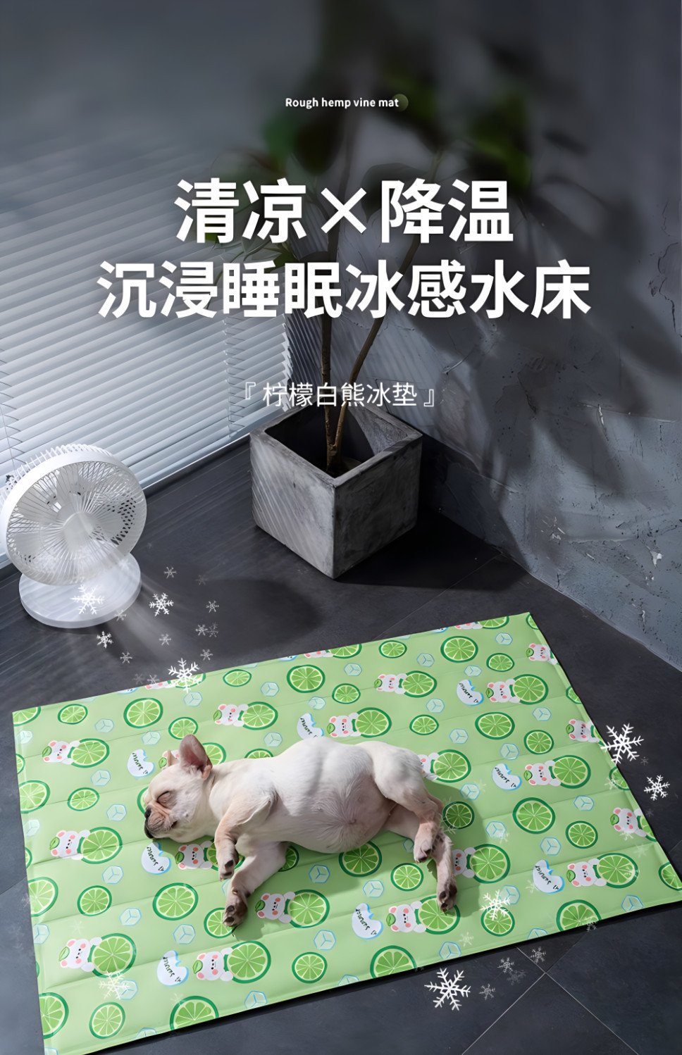 532c13b3-c53e-4521-a345-5fdd32ab5cd5.png