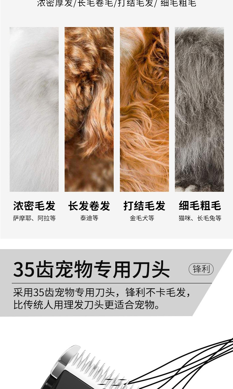 狼霸A69无座_03.jpg