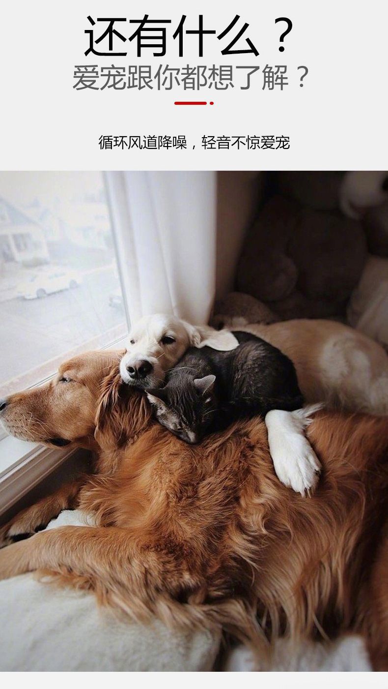 386a1f39-8b24-4d27-998d-c47f1eff5052.jpe