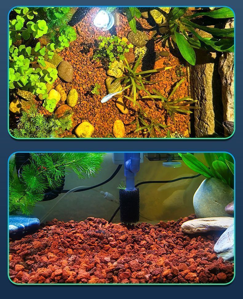 85c853c9-fd3f-4139-bd67-e322c9f47e64.jpe