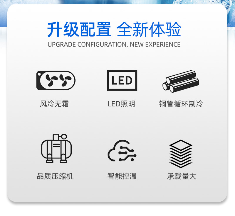 冰力鲜-展示一体柜-亮光门-详情_02.jpg