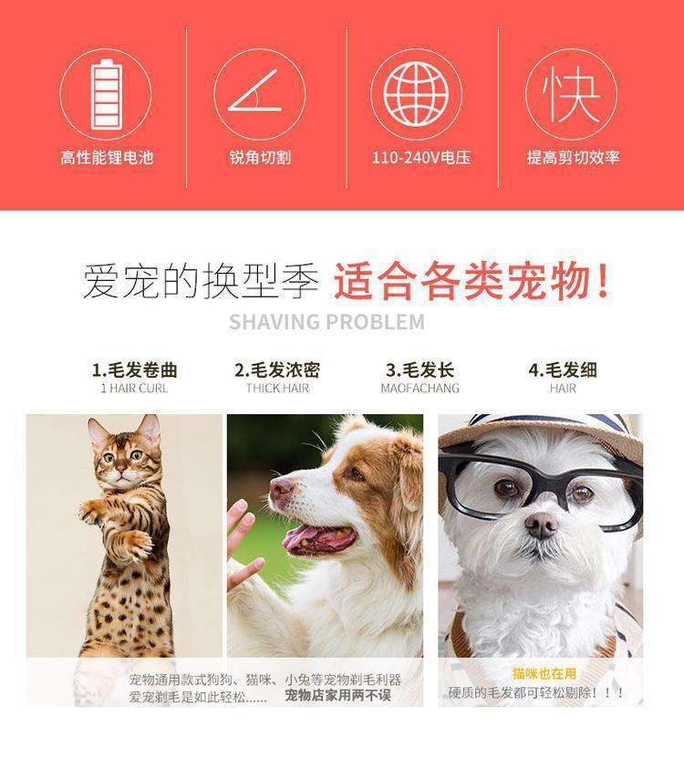 467a408e-4e27-459b-a9ff-da53d24d9e8f.jpe