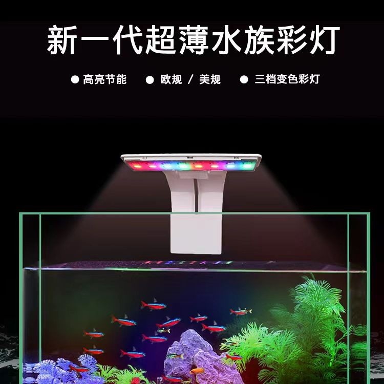 f377f23d-d376-4456-8e25-70e999f767ca.jpe
