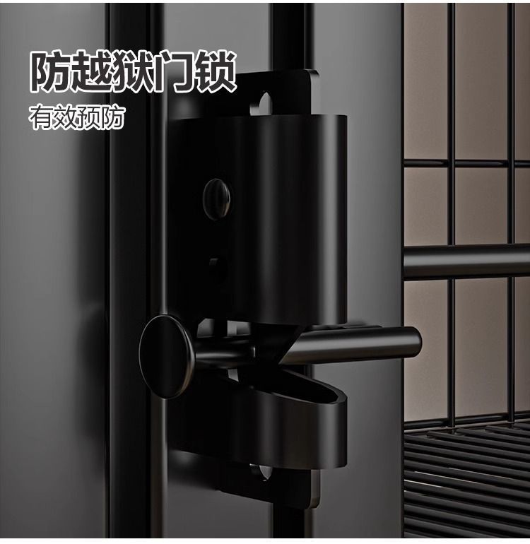 e1a20a55-1f0f-4d80-9dd5-ee6960daa18a.jpe