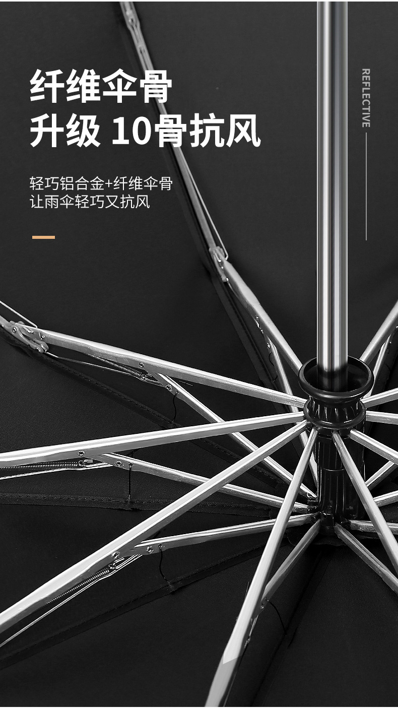 碰击布反向10骨伞_10