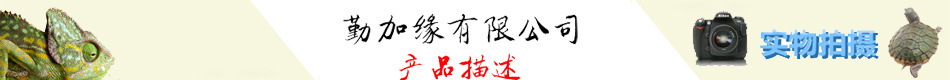 勤加缘描述