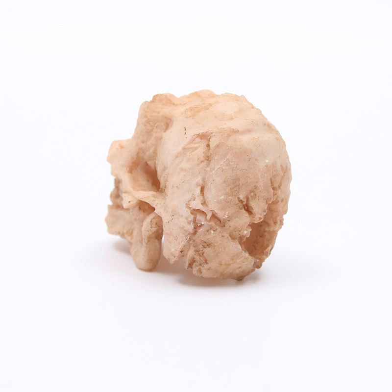 骷髅头-263 (3)