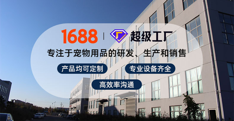 未标题-6_01.jpg
